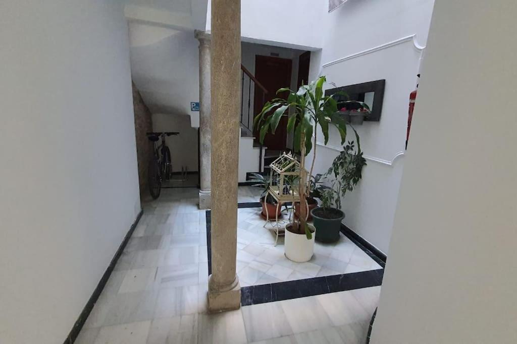 Aloja T Elvira Apartment Granada Ngoại thất bức ảnh